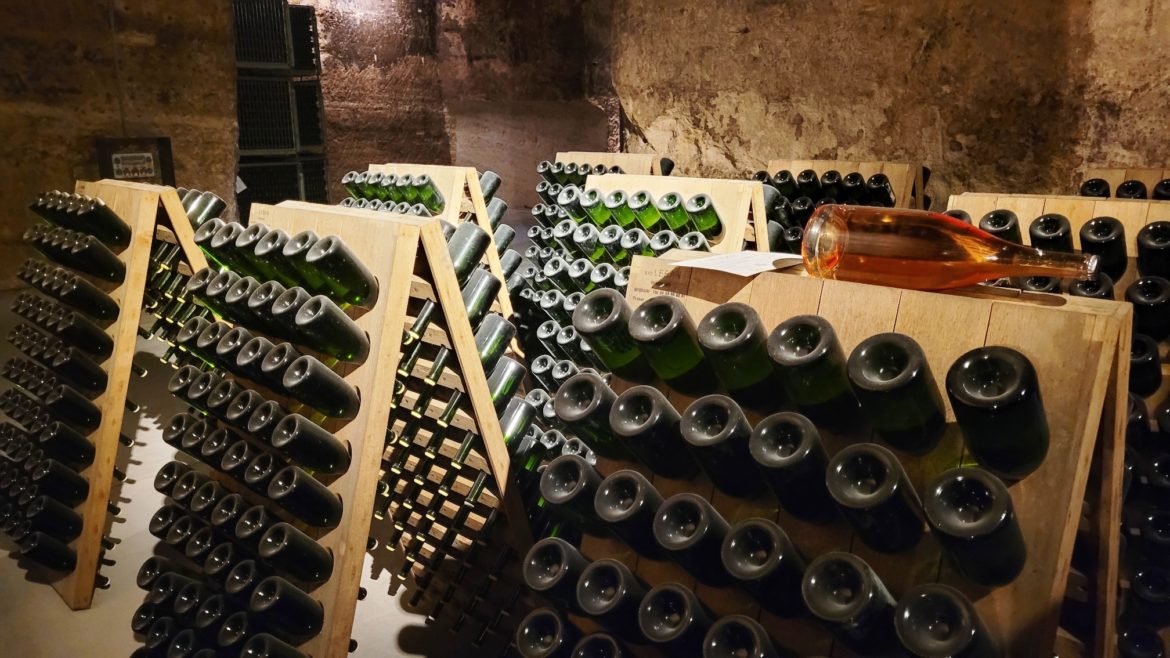 Látogatás a Sauska borászat pezsgő fellegvárában